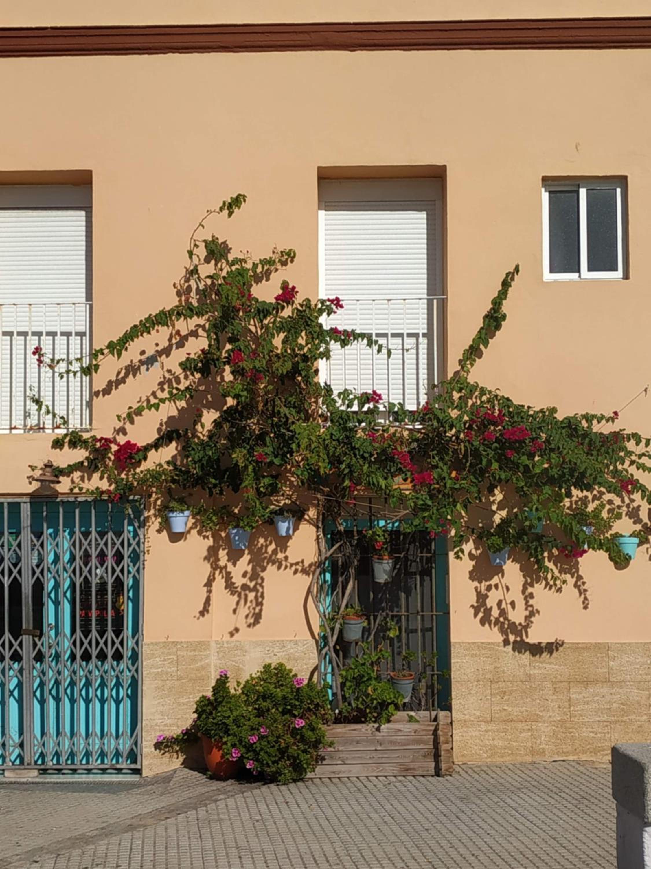Apartamento Las Canastas Cádiz Centro a pie de Catedral y playa