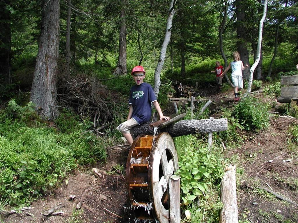 Photo 11