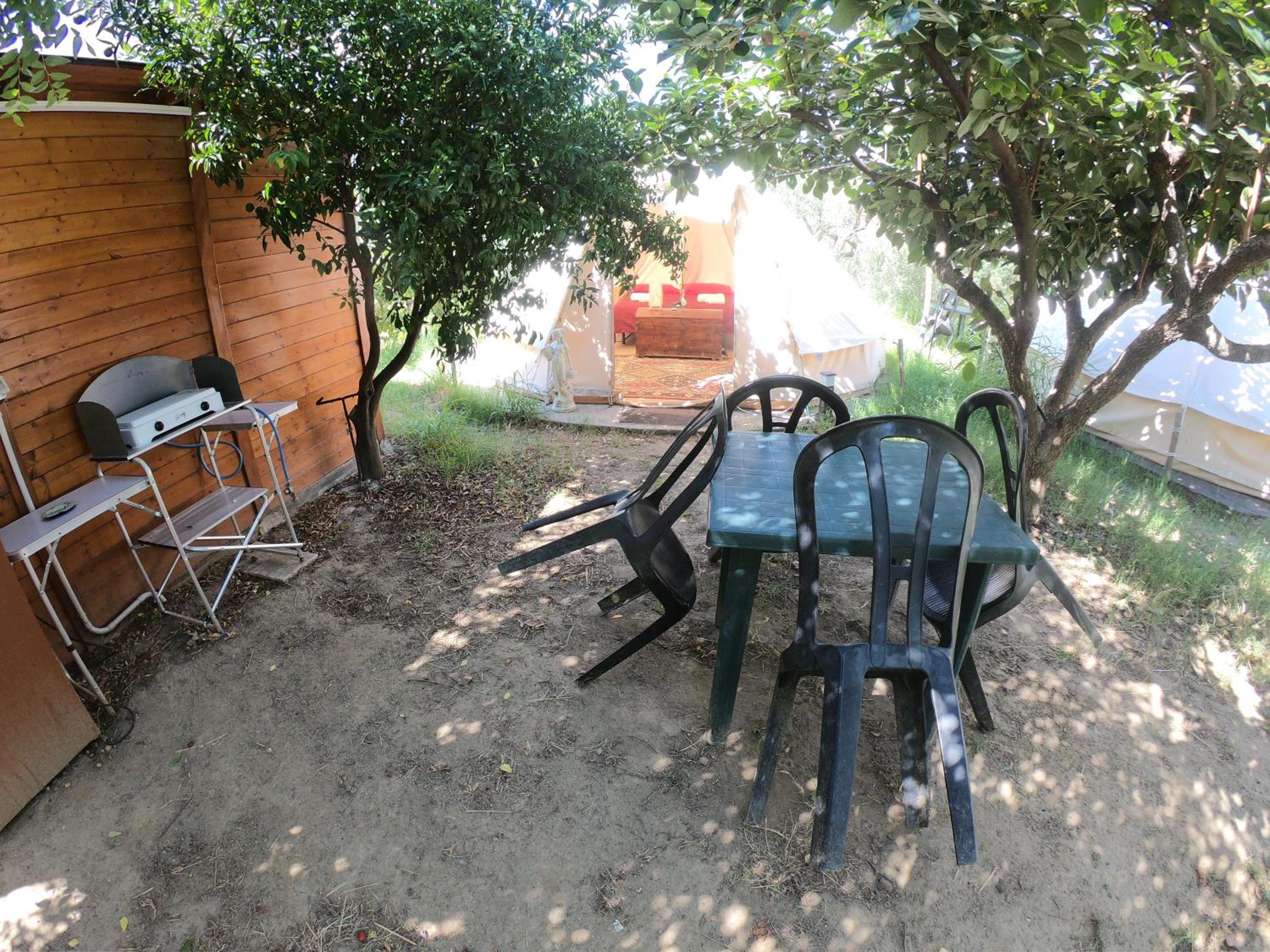 Photo 42