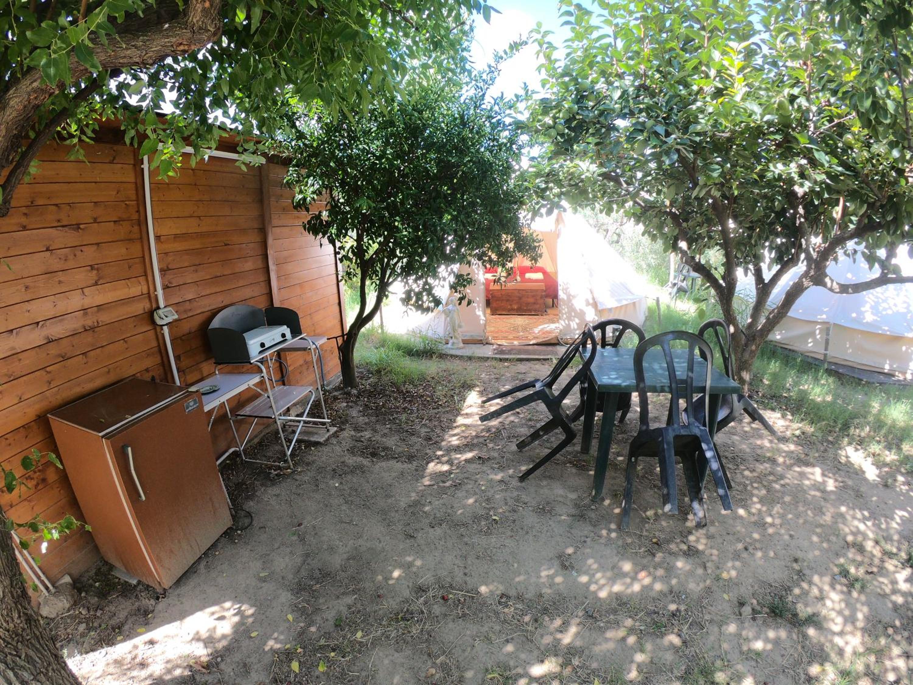 Photo 43
