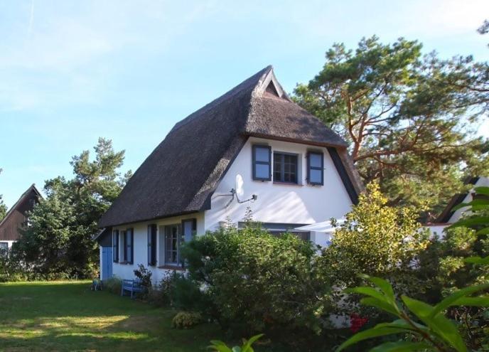 Ferienhaus Strandrose