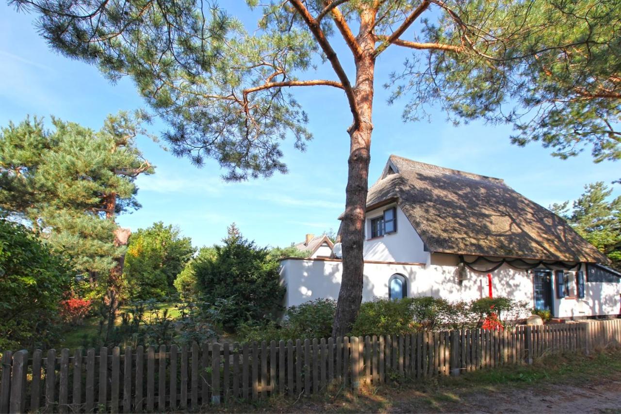 Ferienhaus Strandrose