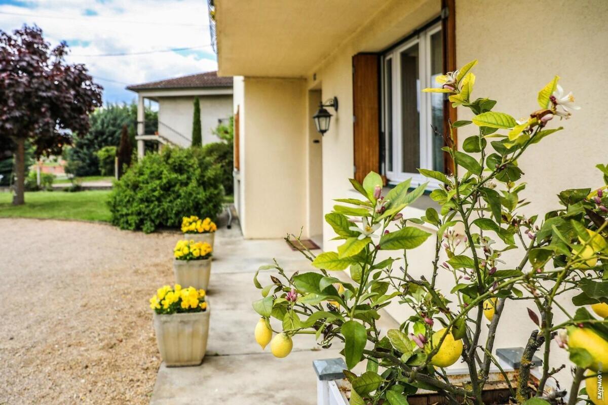 JOLI APPARTEMENT - PISCINE - 68m2 - GAILLAC