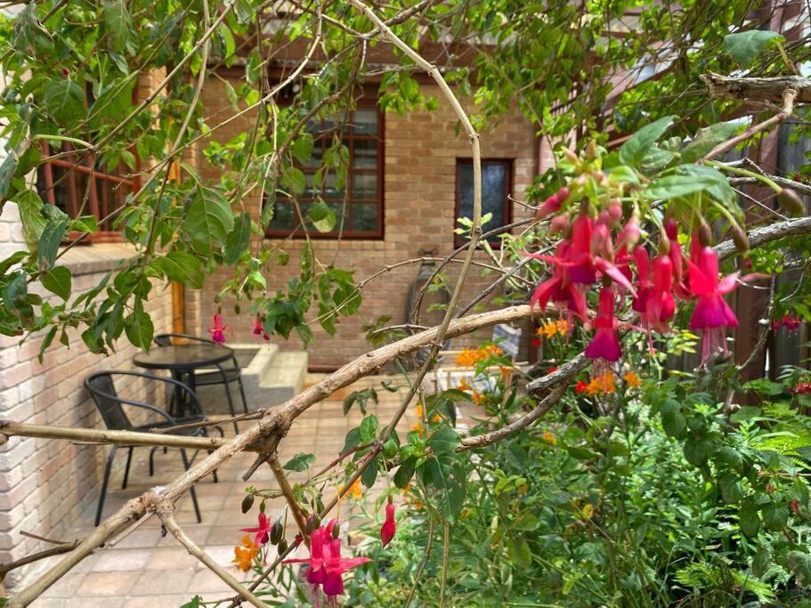 Campbell St Cottage, Hobart CBD