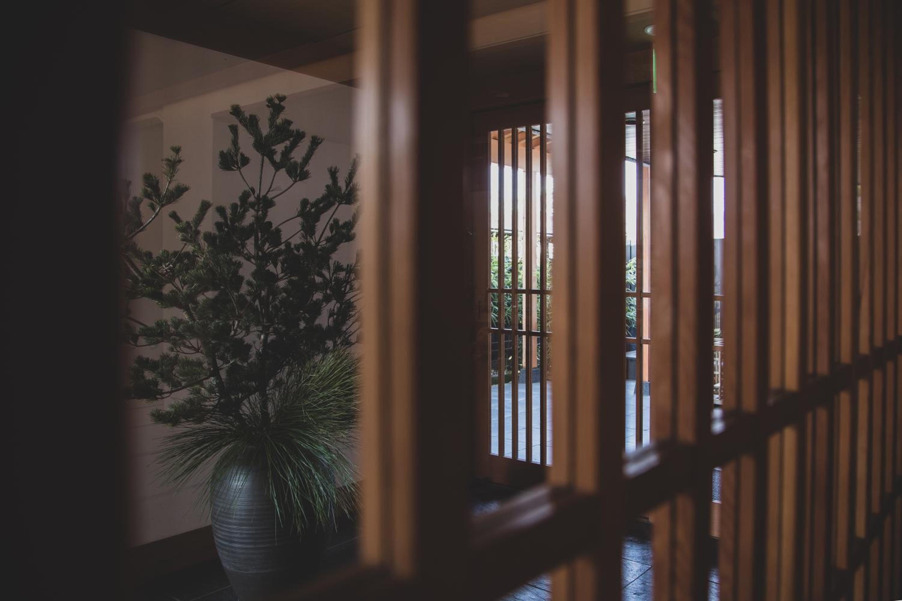Sui Suwako