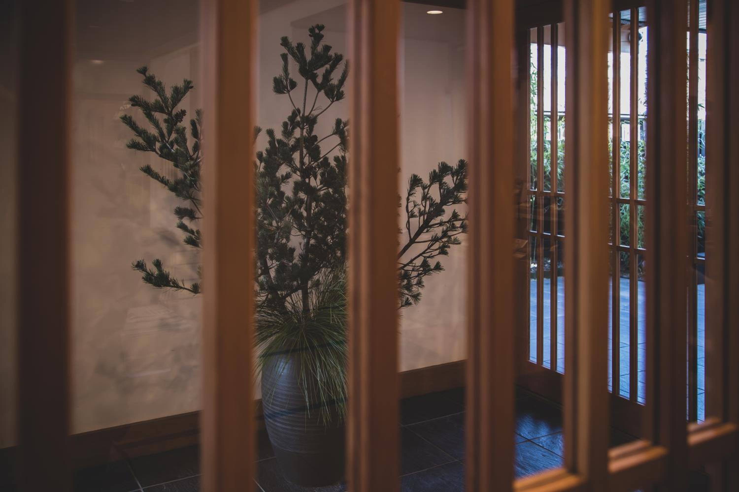 Sui Suwako
