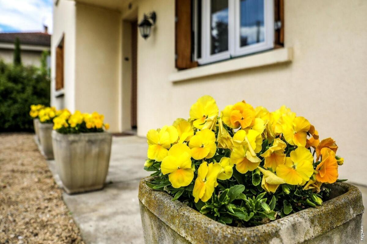 JOLI APPARTEMENT - PISCINE - 68m2 - GAILLAC