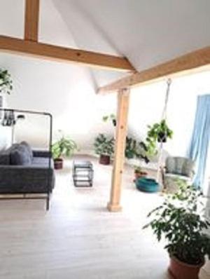 Apartman Barbara