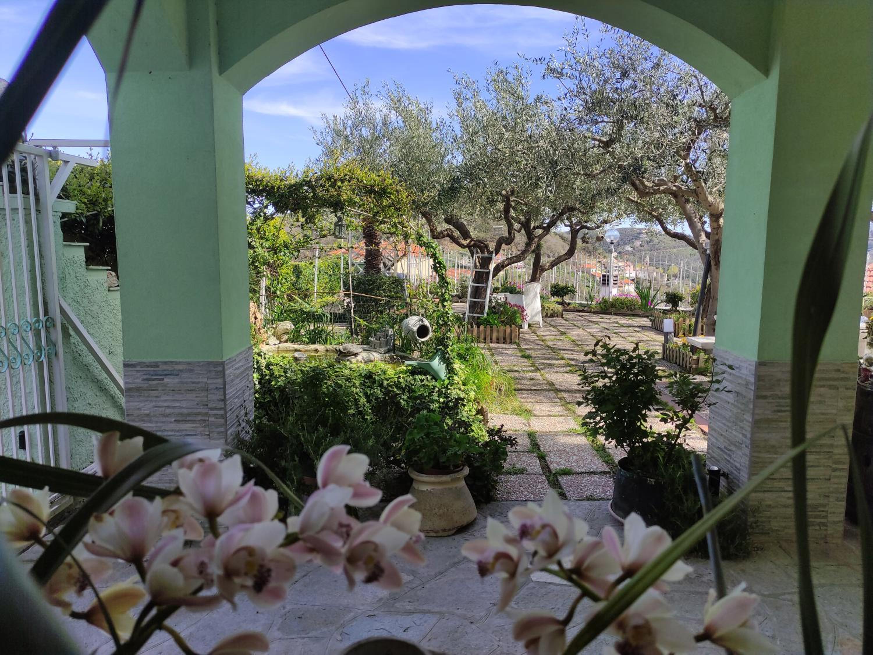 B&B Elfo degli Ulivi