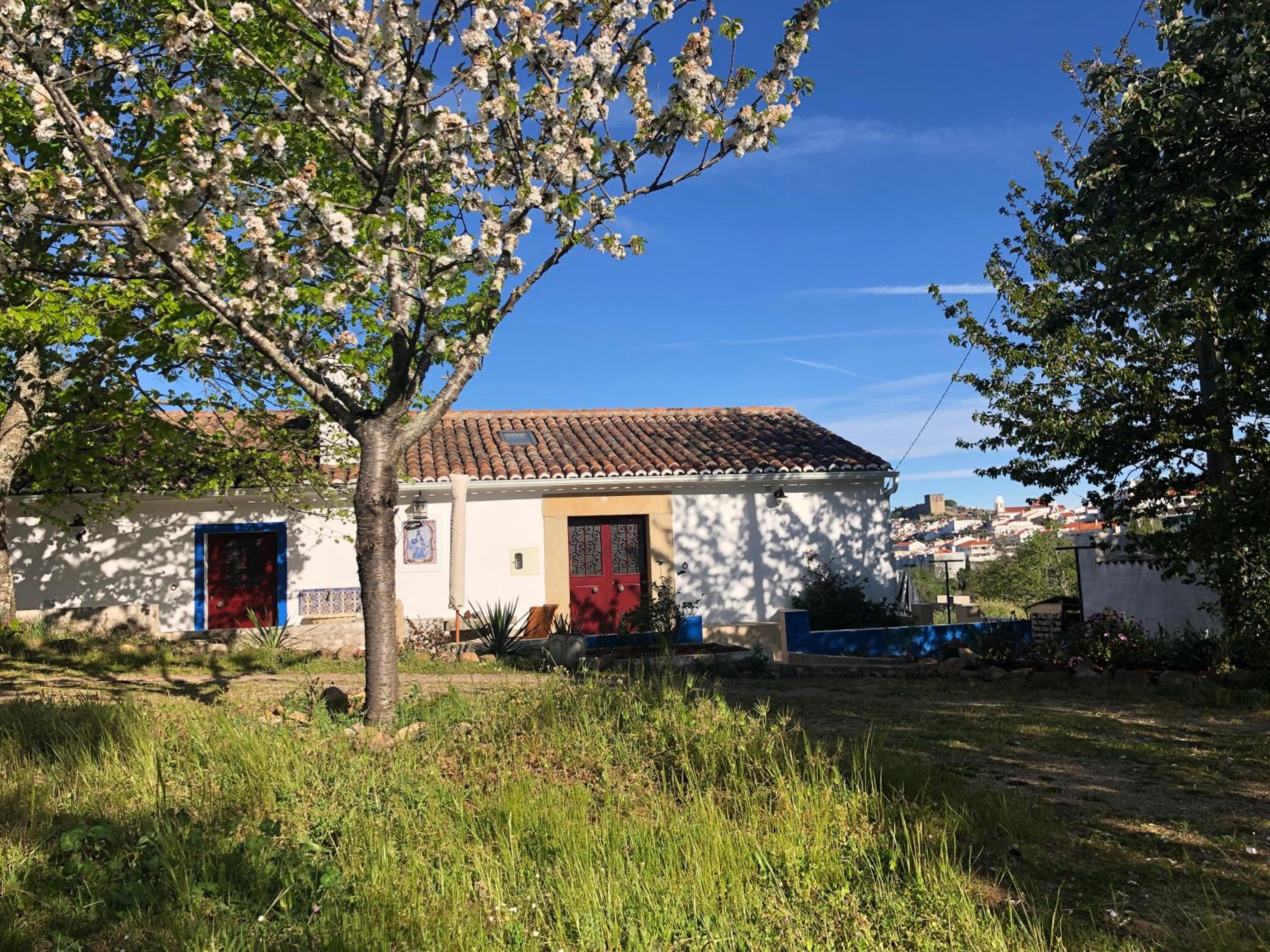 Ola Linda - Casa de Campo -