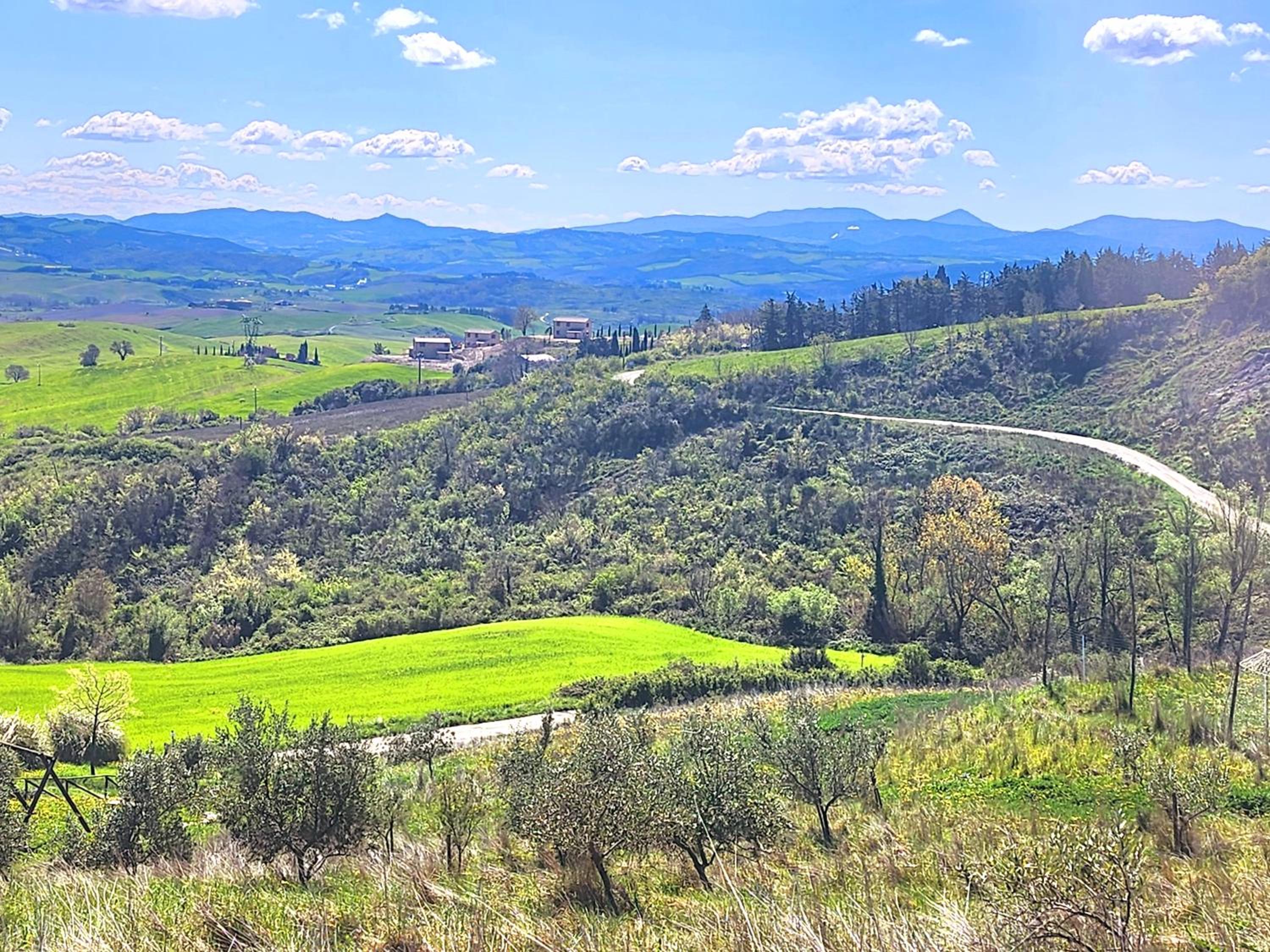 Agriturismo LUCERTOLA