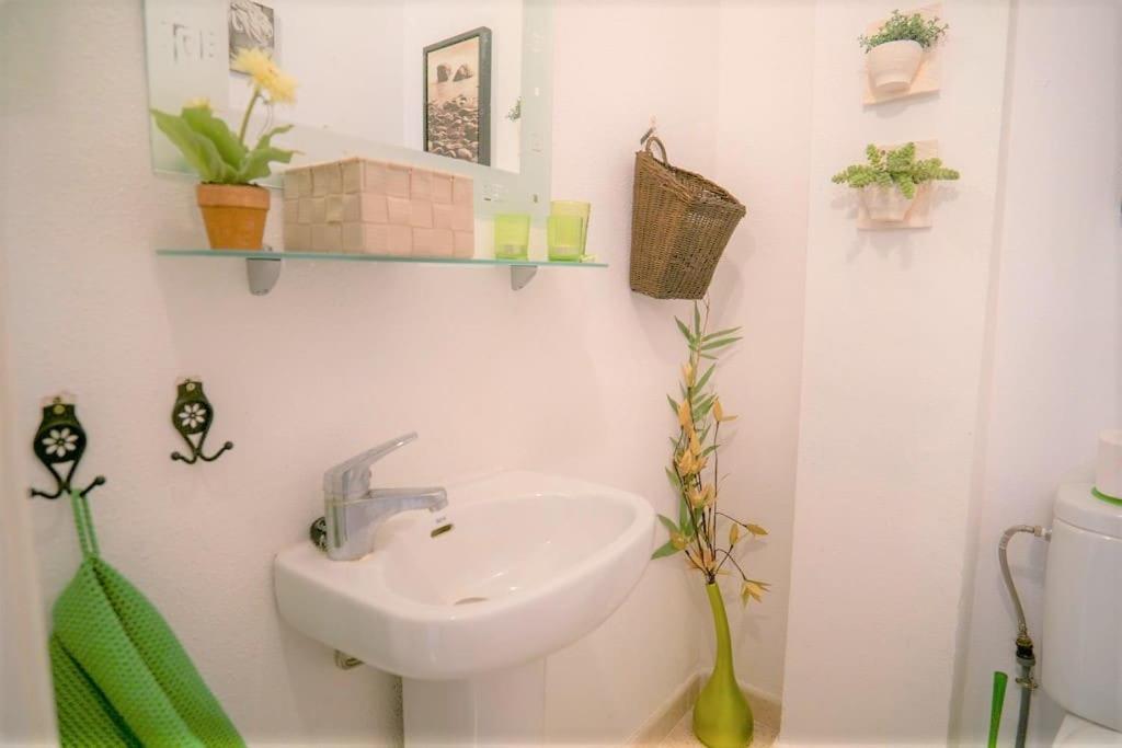 Spacious ground floor apartment overlooking the beautiful communal pool