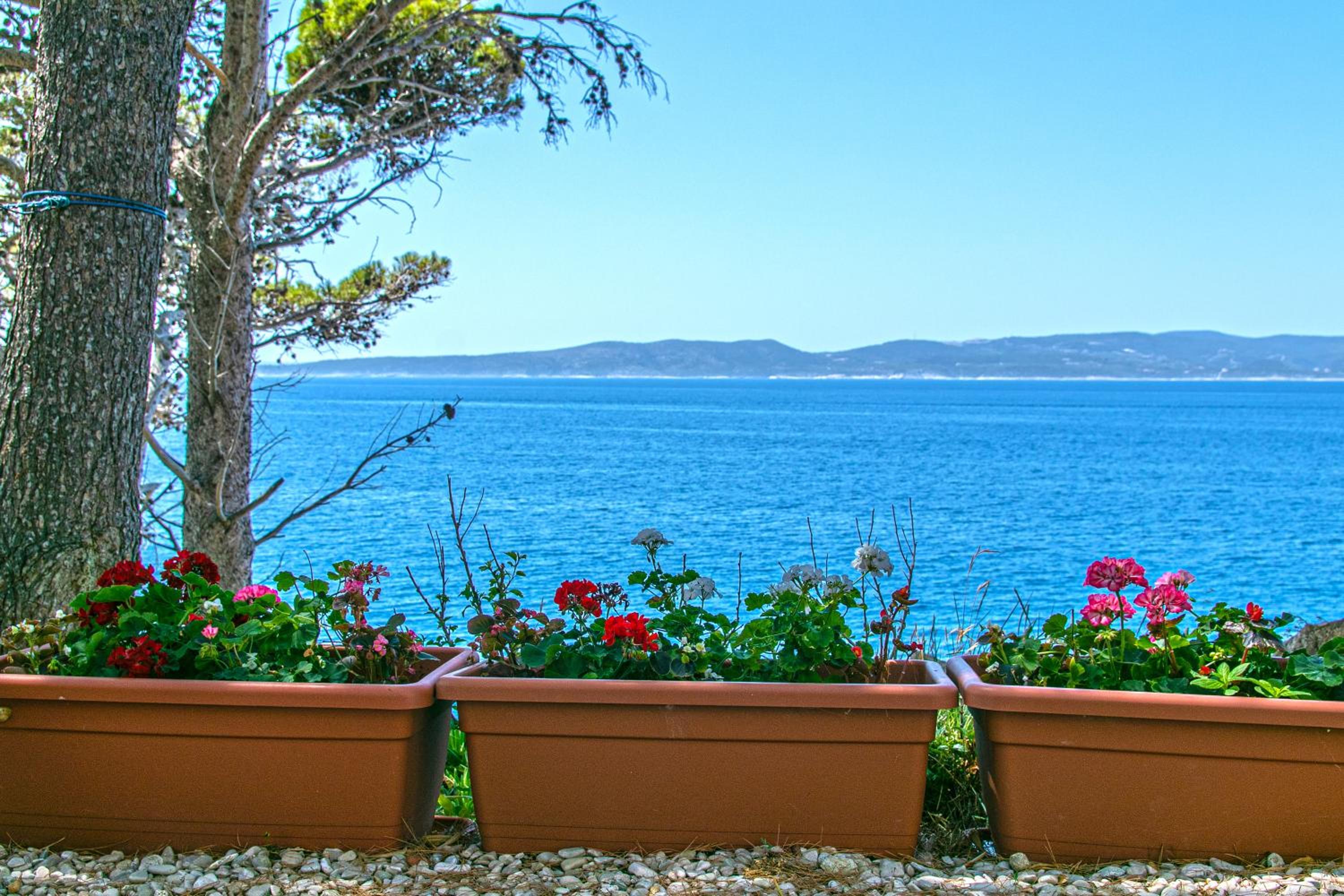 Apartmani Jakiruša