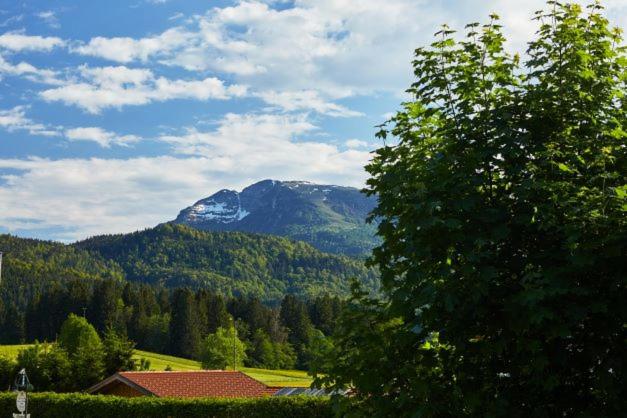Haus Almrose