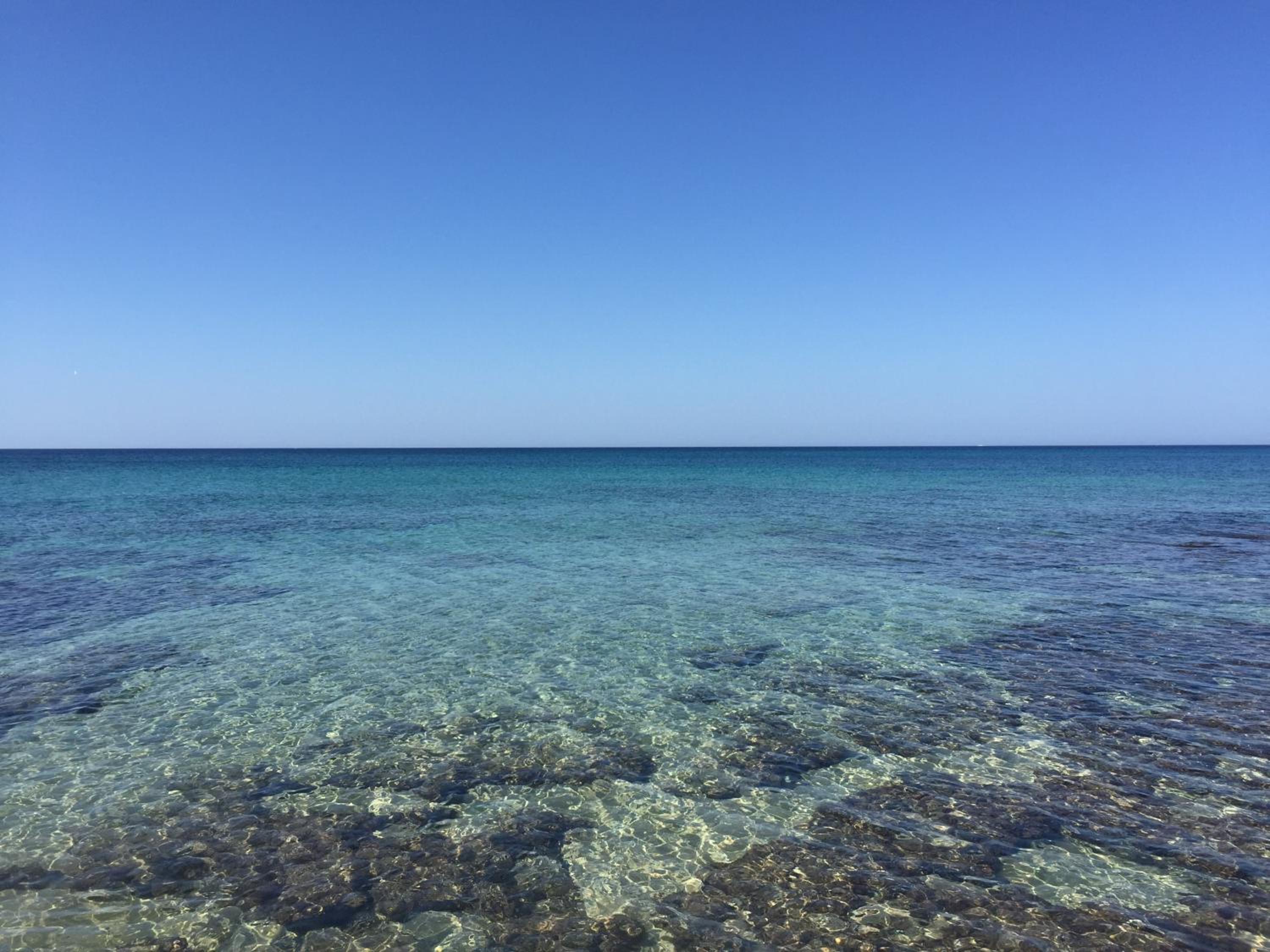 Le Rondini di mare view 3