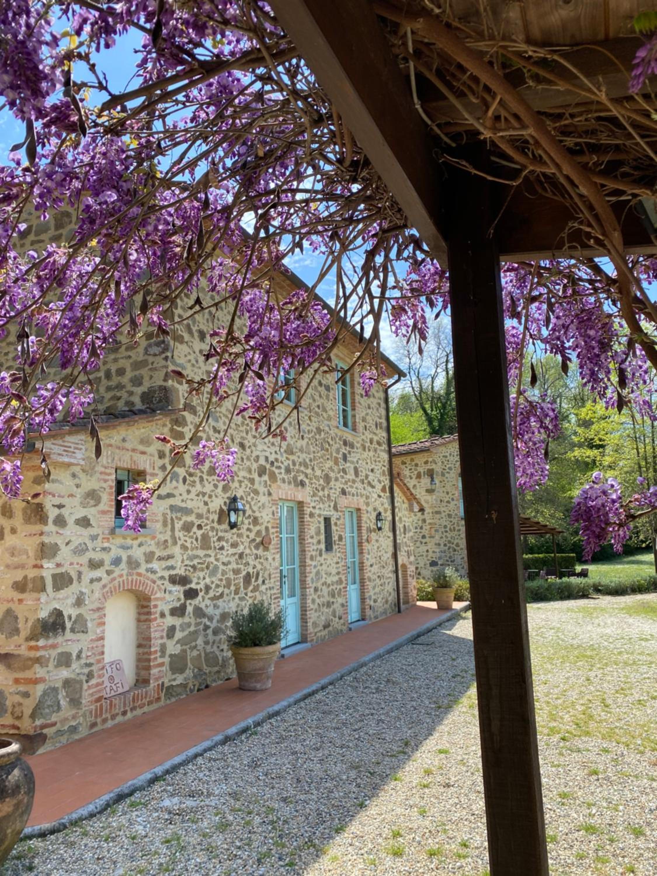 Il Borghetto Andrea Tafi view 3