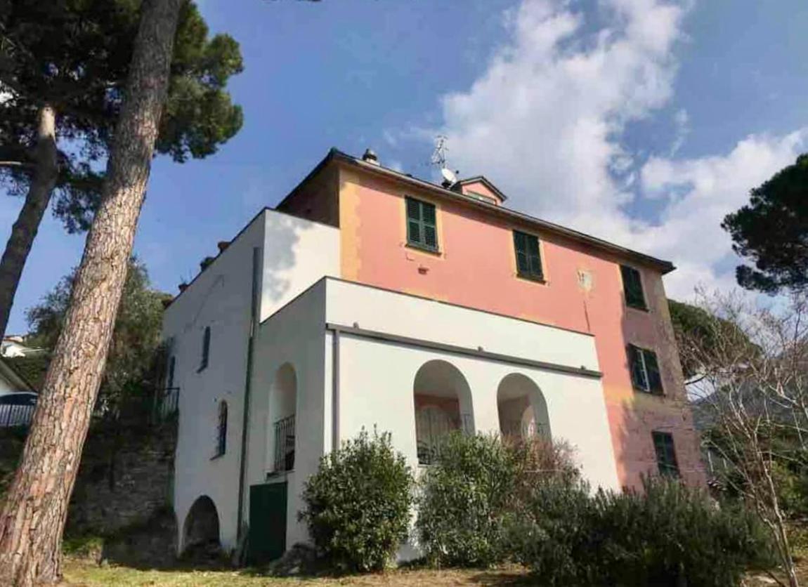 Giardino in villa Margherita