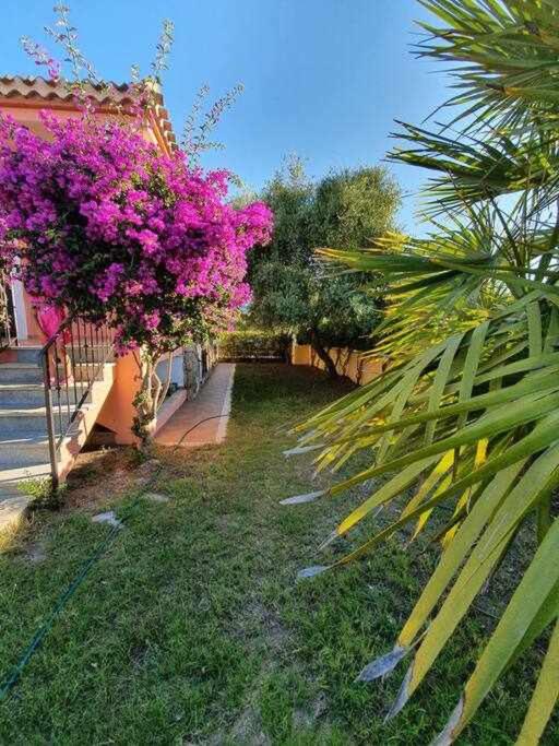 Casa Vacanze l'Olivastro view 2