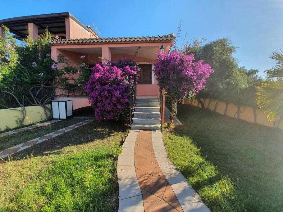 Casa Vacanze l'Olivastro view 5