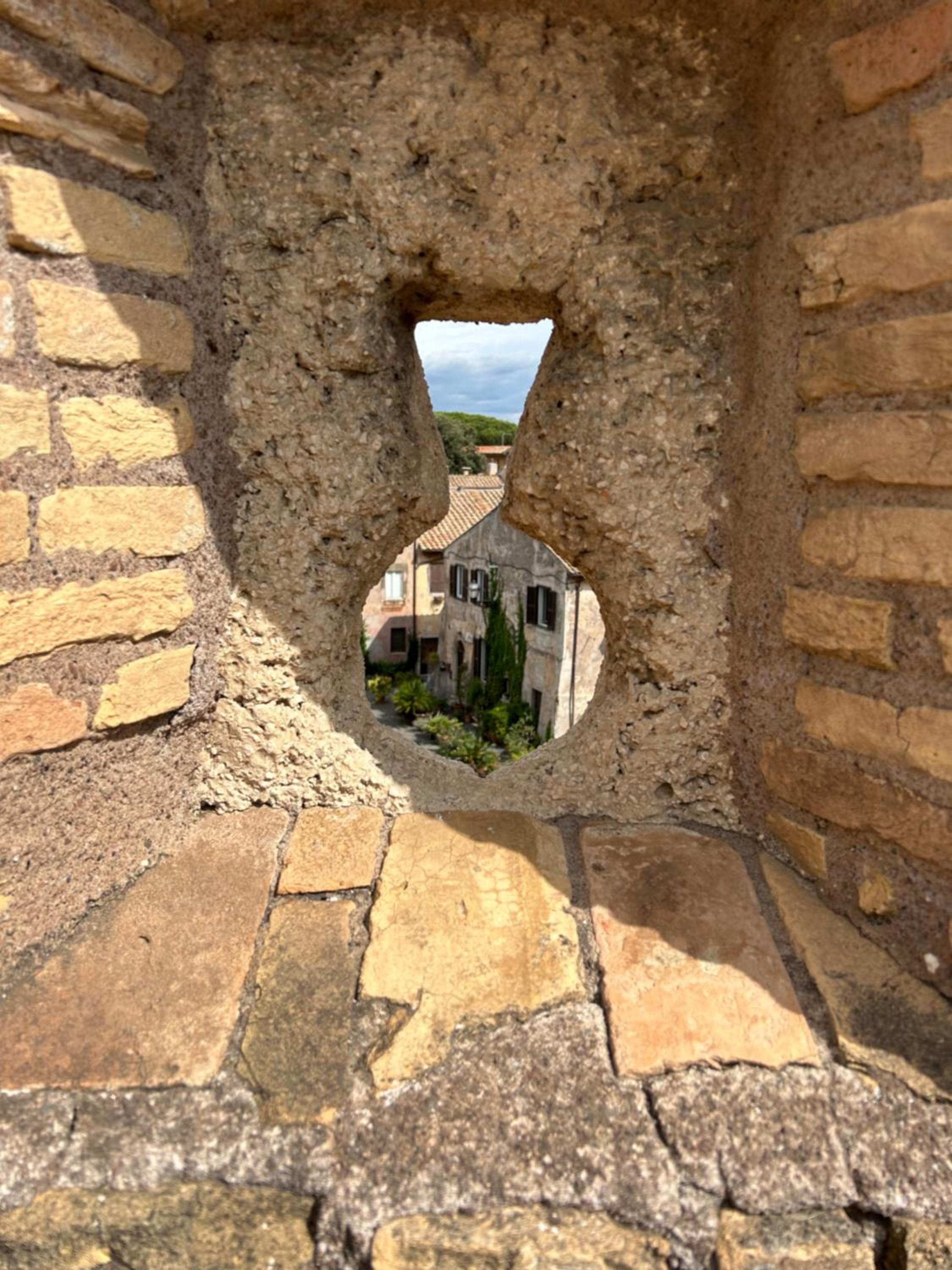 Photo 47