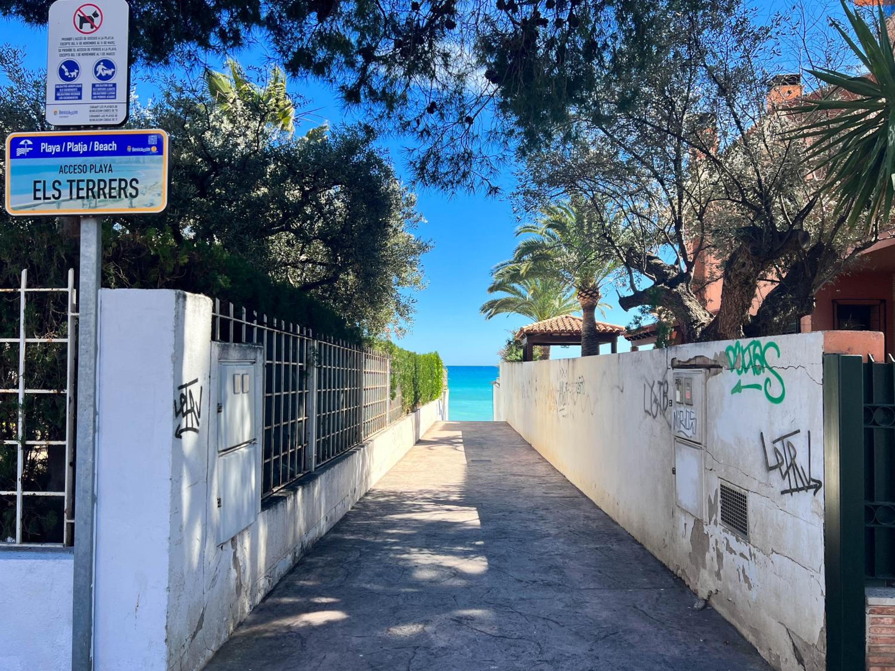 Private garden 100 m from the sea view 4