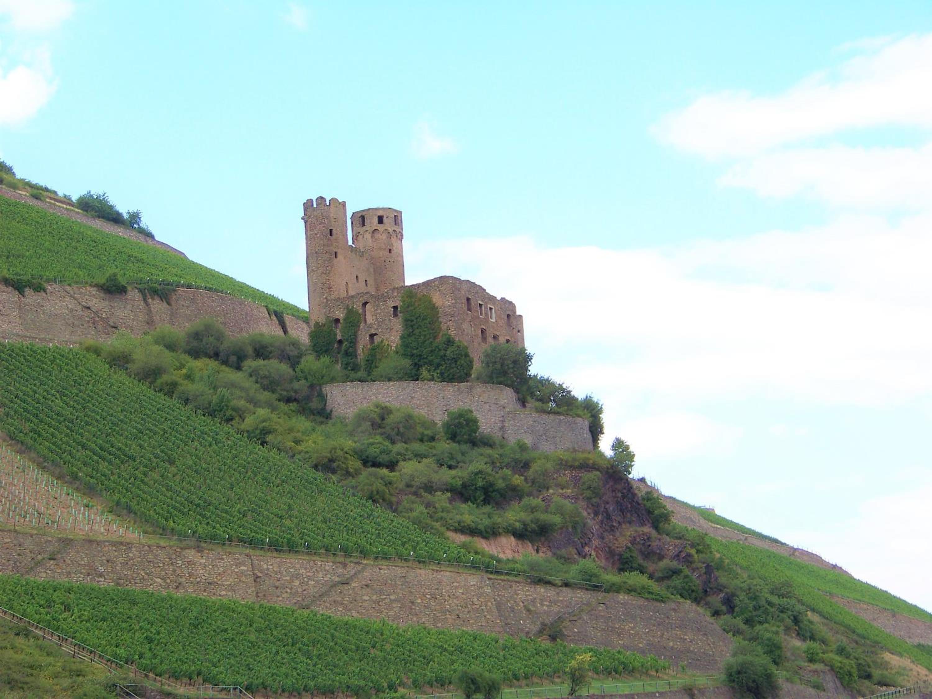 Pension Milberg Assmannshausen view 2