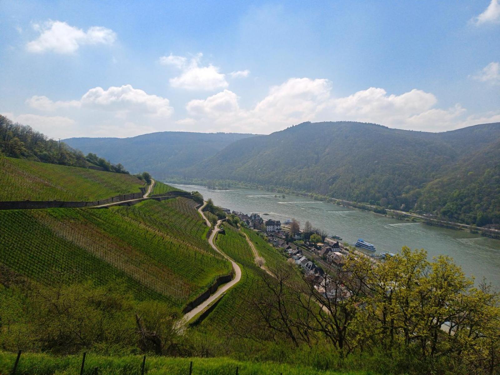 Pension Milberg Assmannshausen view 3