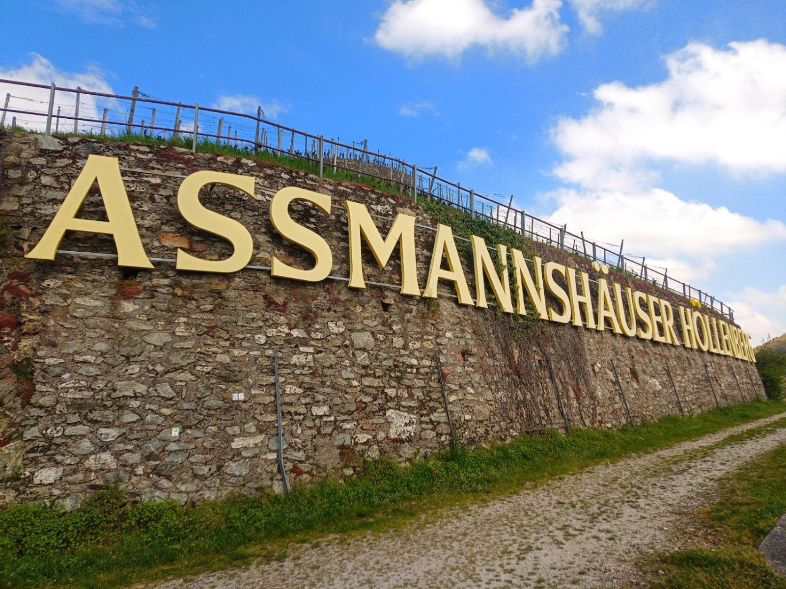 Pension Milberg Assmannshausen view 5
