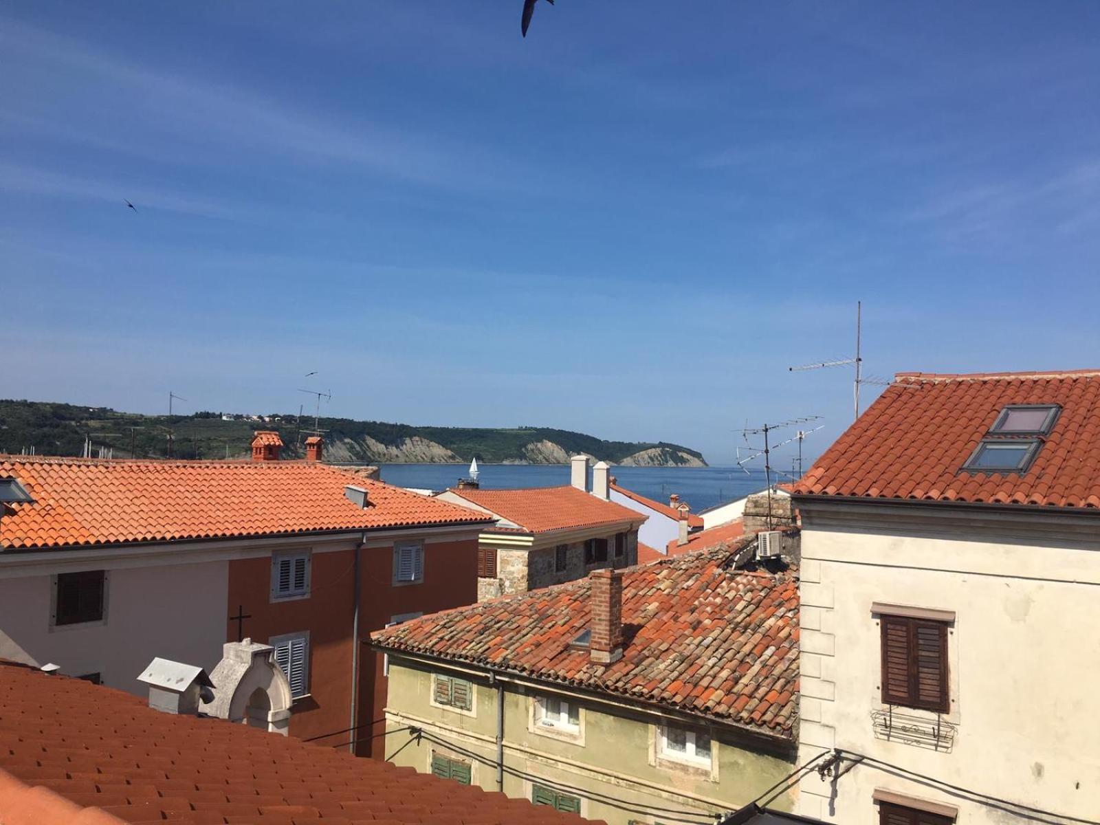 Apartmaji Sara, Izola - Isola view 2