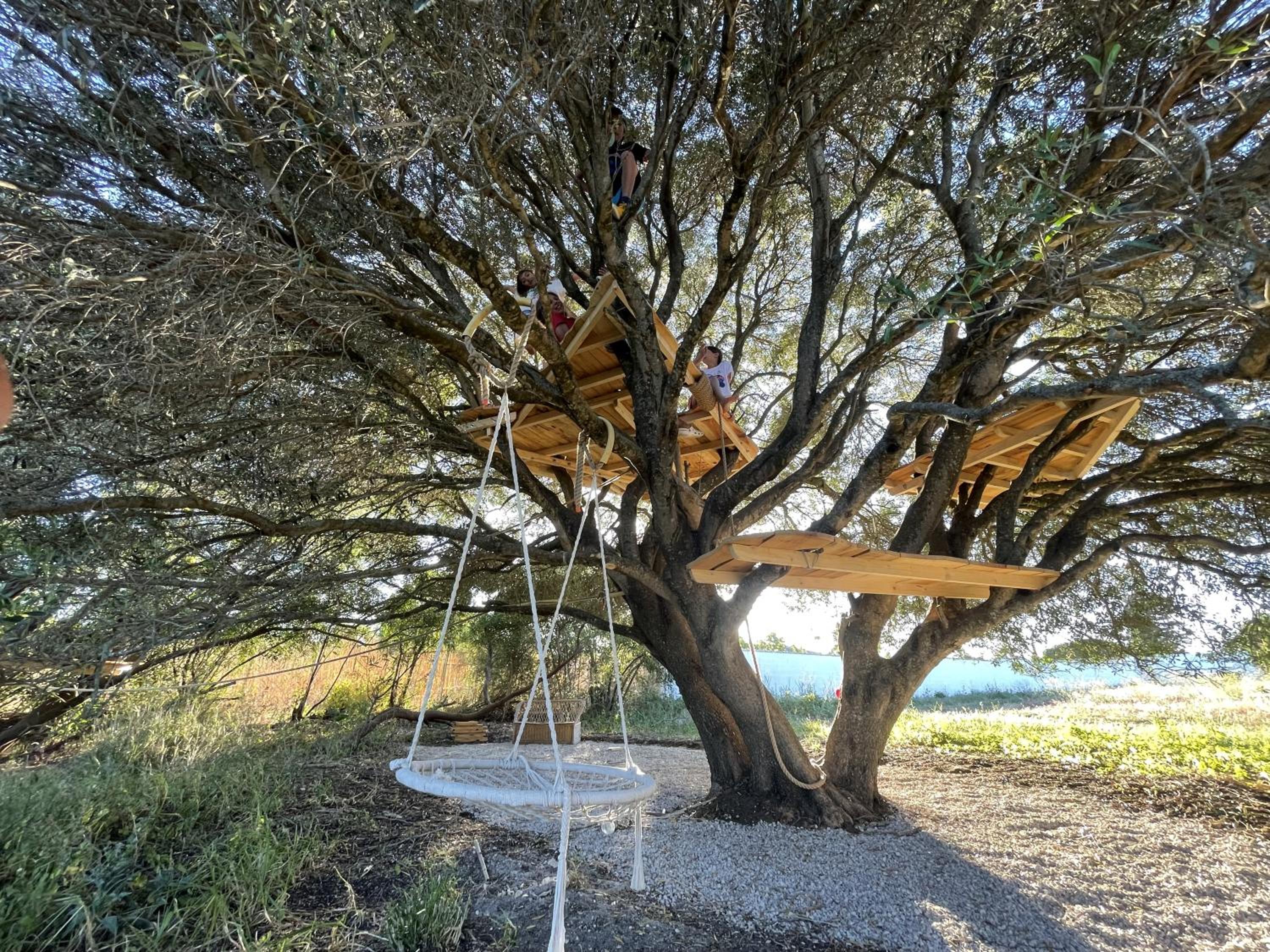Tranquilo Glamping