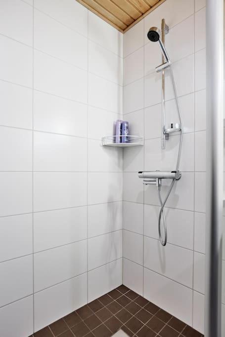 Rauhallinen kolmio omalla saunalla Tampereen keskustassa