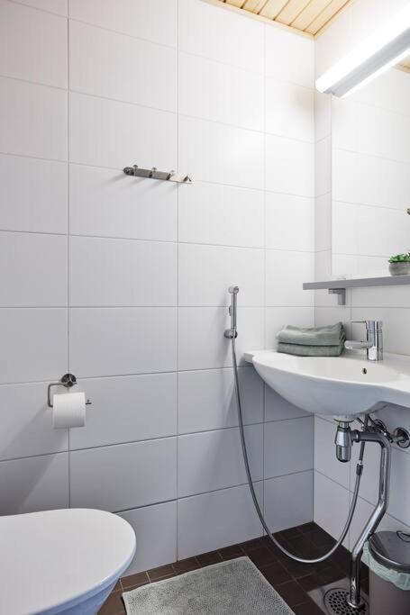 Rauhallinen kolmio omalla saunalla Tampereen keskustassa