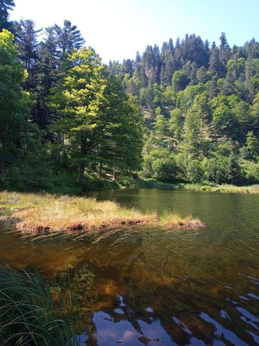 Ferienwohnung Hirschkopf im Südschwarzwald