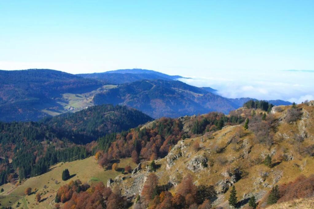 Ferienwohnung Hirschkopf im Südschwarzwald