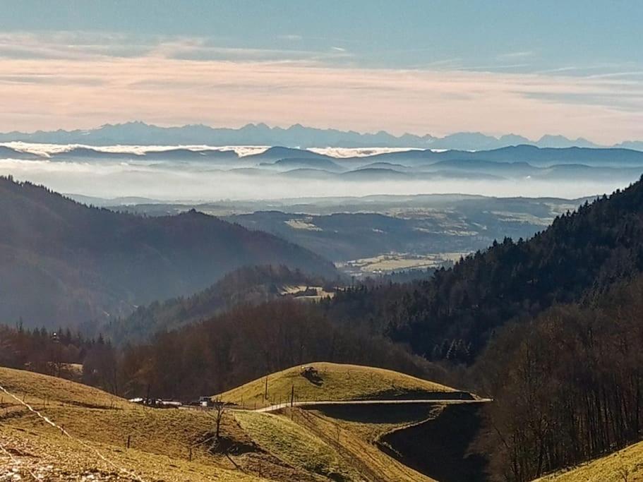 Ferienwohnung Hirschkopf im Südschwarzwald
