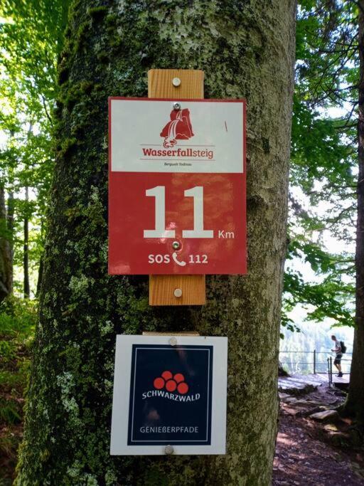 Ferienwohnung Hirschkopf im Südschwarzwald
