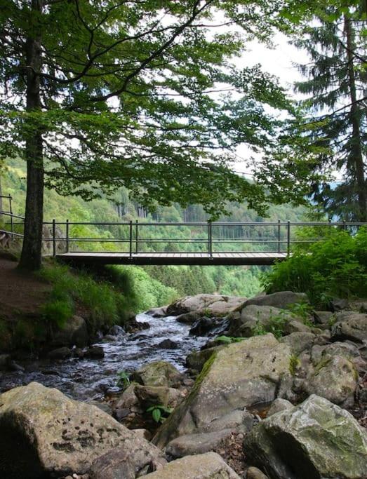 Ferienwohnung Hirschkopf im Südschwarzwald
