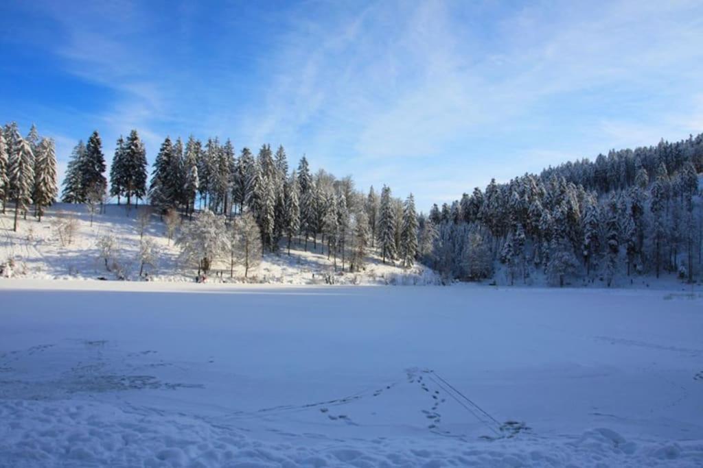 Ferienwohnung Hirschkopf im Südschwarzwald