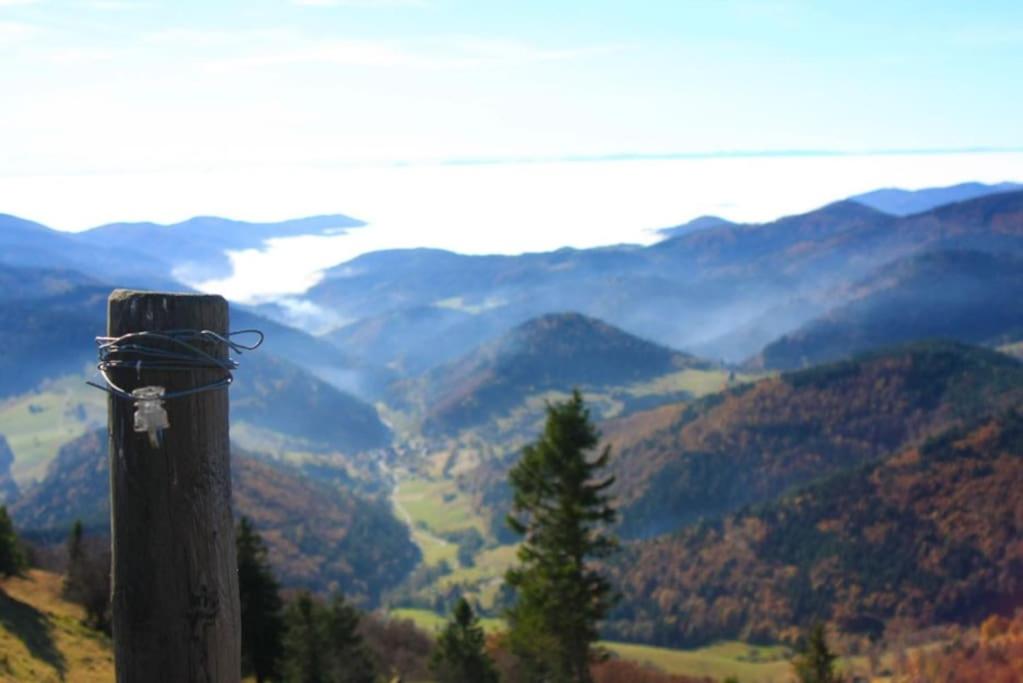 Ferienwohnung Hirschkopf im Südschwarzwald