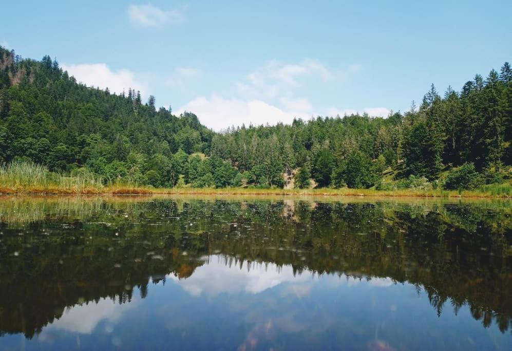 Ferienwohnung Hirschkopf im Südschwarzwald