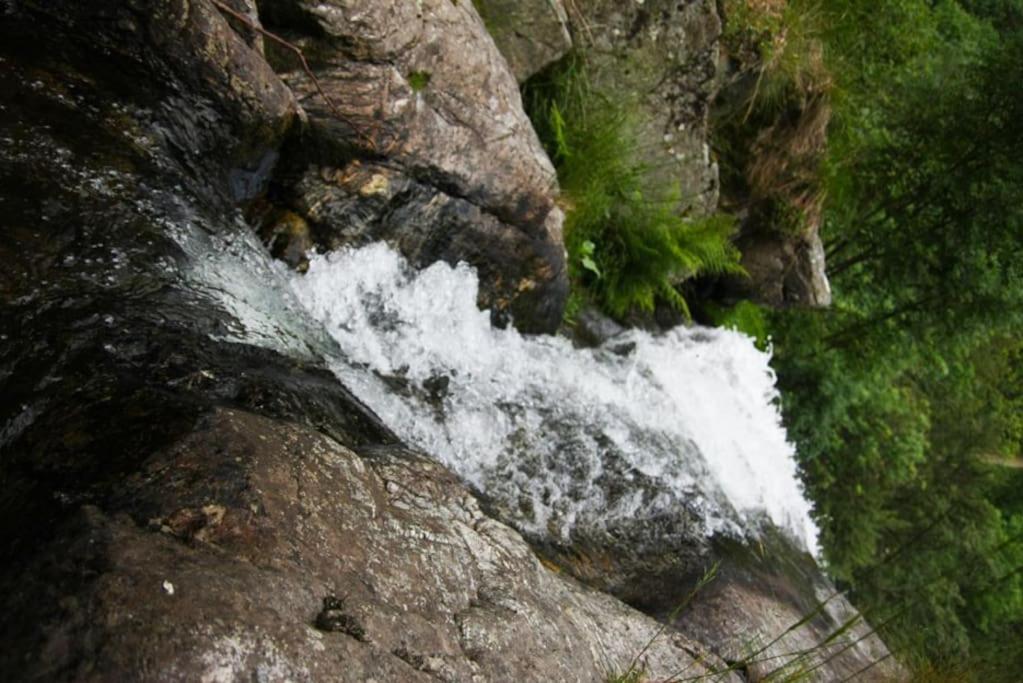 Ferienwohnung Hirschkopf im Südschwarzwald