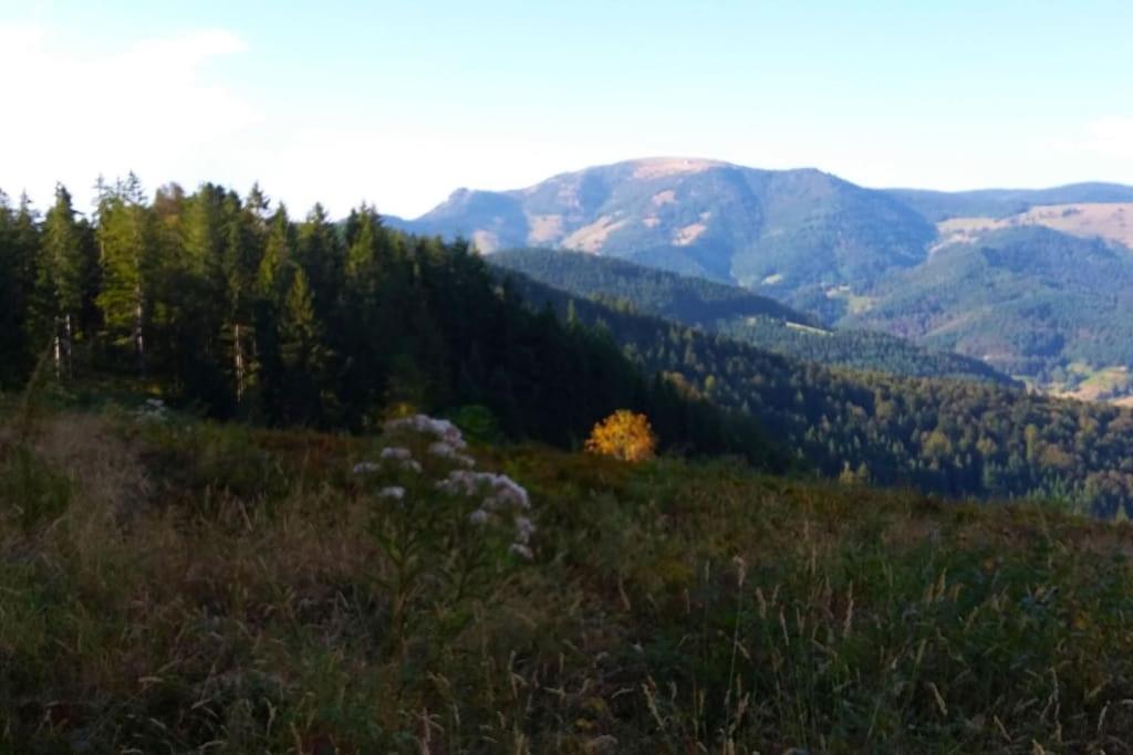 Ferienwohnung Hirschkopf im Südschwarzwald