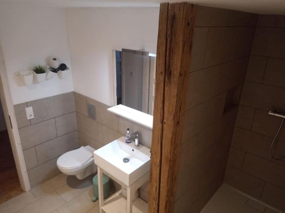 Ferienwohnung Hirschkopf im Südschwarzwald