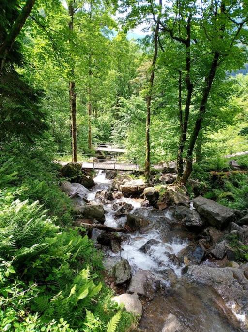Ferienwohnung Hirschkopf im Südschwarzwald