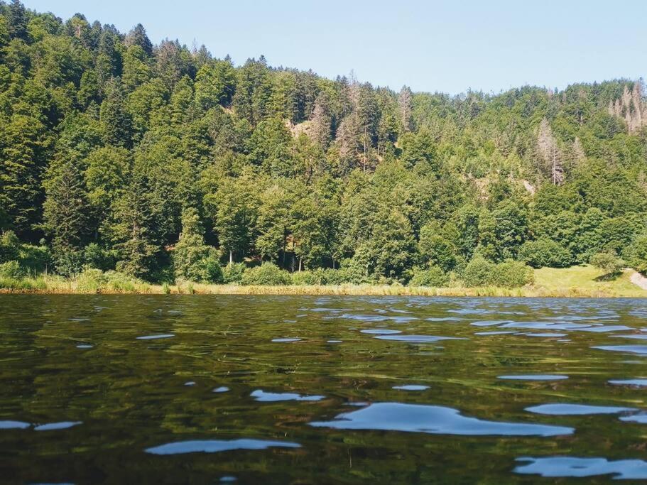 Ferienwohnung Hirschkopf im Südschwarzwald