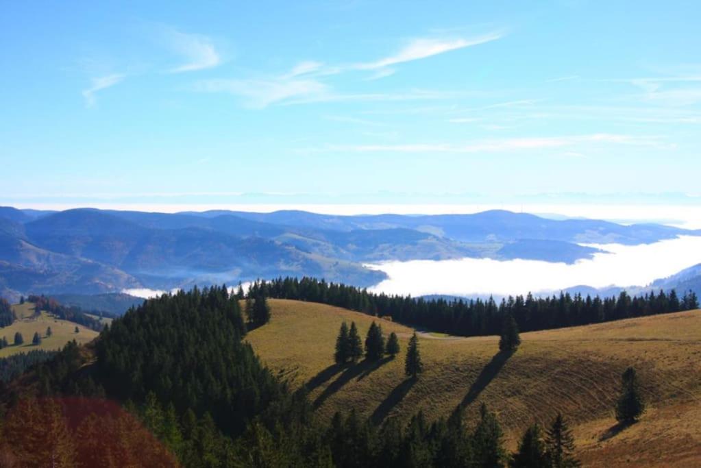 Ferienwohnung Hirschkopf im Südschwarzwald