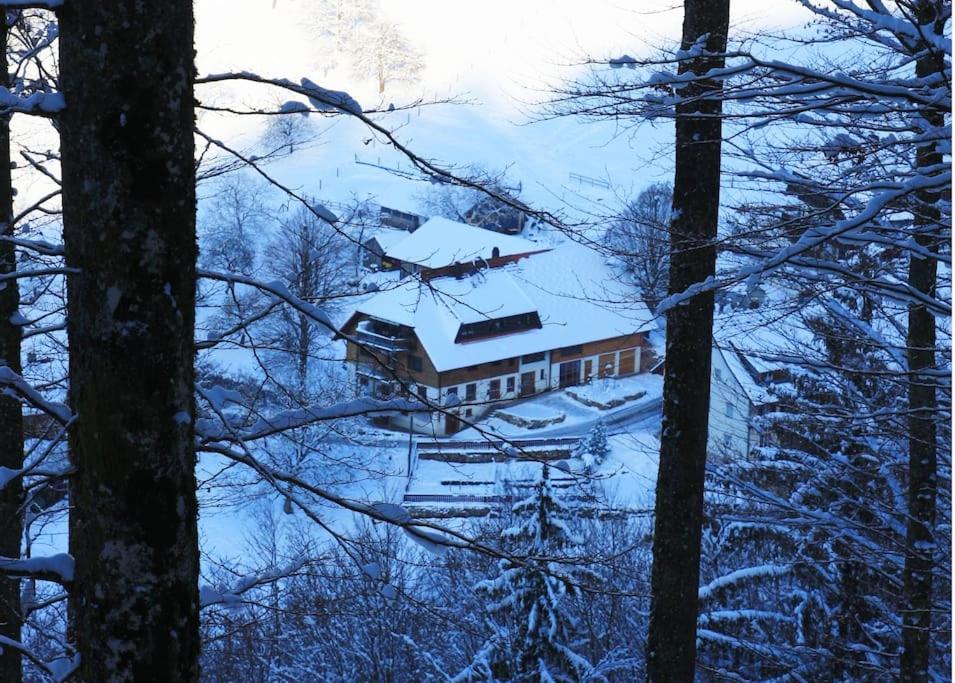 Ferienwohnung Hirschkopf im Südschwarzwald
