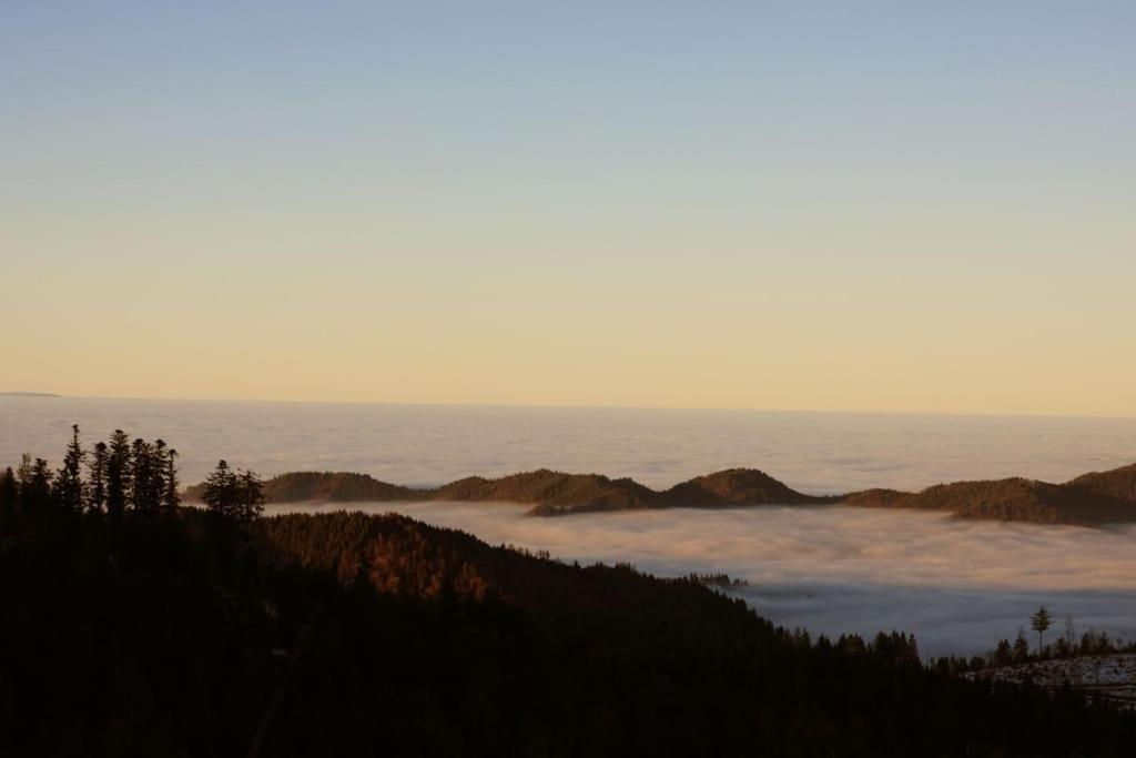 Ferienwohnung Hirschkopf im Südschwarzwald