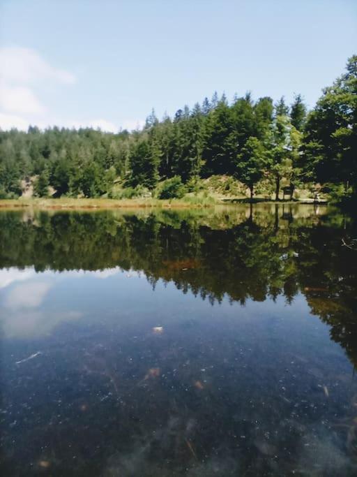 Ferienwohnung Hirschkopf im Südschwarzwald