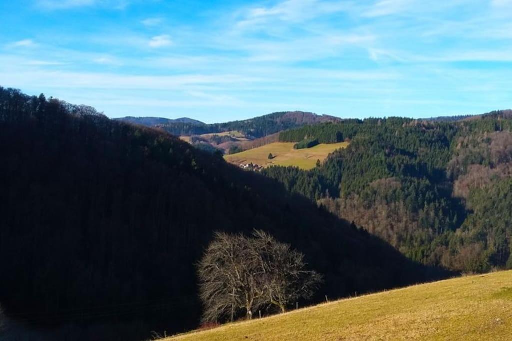 Ferienwohnung Hirschkopf im Südschwarzwald